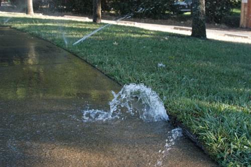 A broken sprinkler on the border between the green grass and sidewalk gushing water out.