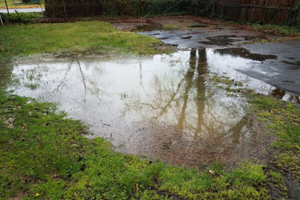 Large puddle of standing water in a backyard caused by poor drainage or a broken pipe.